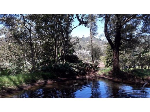 地皮  Retiro, Departamento de Antioquia