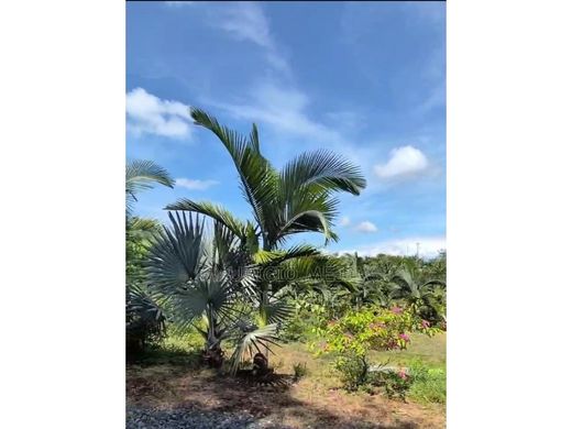 地皮  Pereira, Departamento de Risaralda