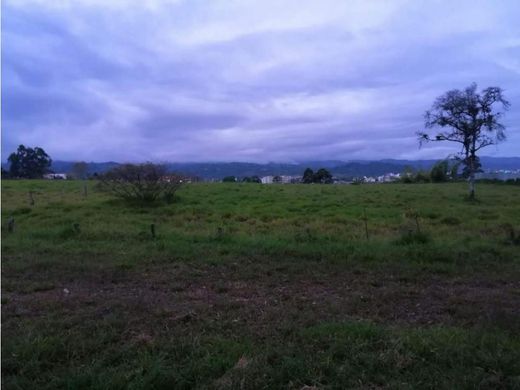Land in Popayán, Departamento del Cauca