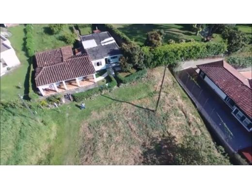 地皮  麦德林, Medellín