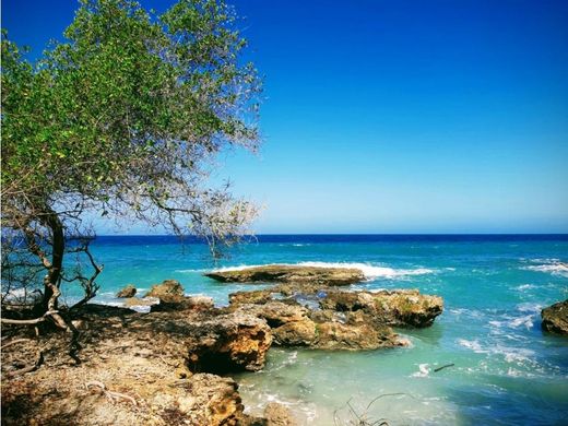 Αγροτεμάχιο σε Cartagena, Cartagena de Indias