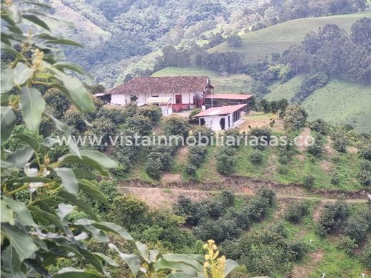 Quinta rústica - Salamina, Departamento de Caldas