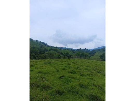 Grond in Titiribí, Departamento de Antioquia