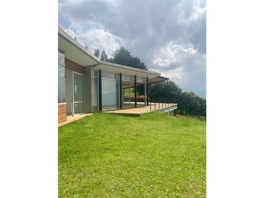 호화 저택 / 메데인, Medellín