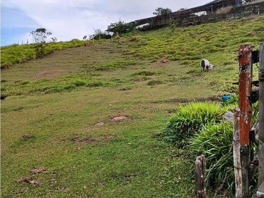 Terreno en Medellín, Departamento de Antioquia