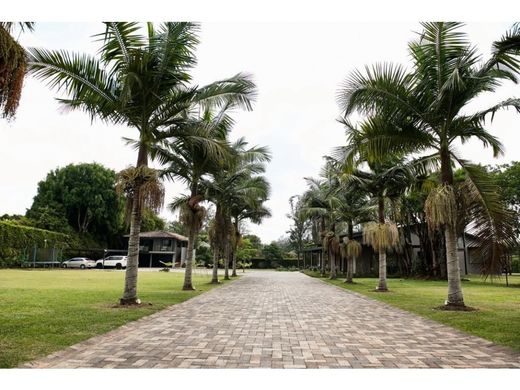 Rustik ya da çiftlik Rionegro, Departamento de Antioquia