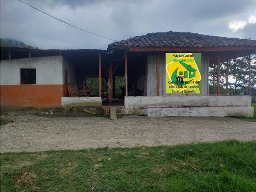 ﻣﻨﺰﻝ ﺭﻳﻔﻲ/ ﺑﻴﺖ ﻤﺰﺭﻋﺔ ﻓﻲ Calarcá, Calarca