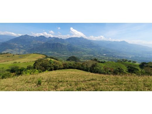 Land in Tarso, Departamento de Antioquia