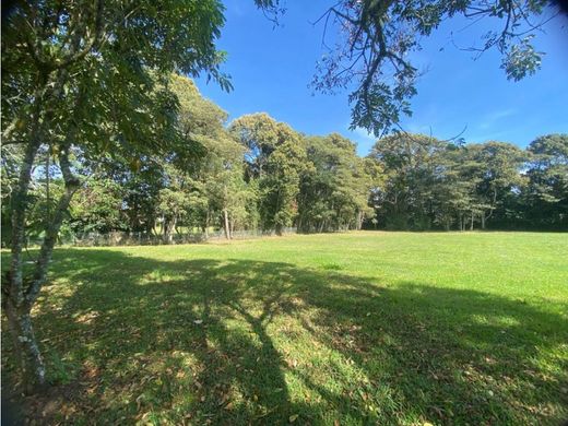 Land in Rionegro, Departamento de Antioquia