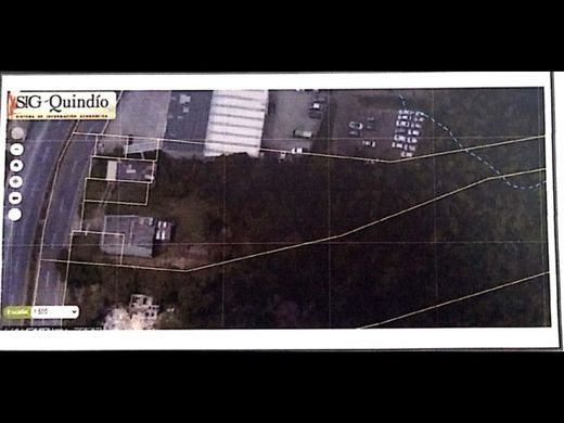 Arsa Armenia, Quindío Department