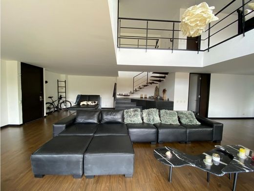 Daire Medellín, Departamento de Antioquia