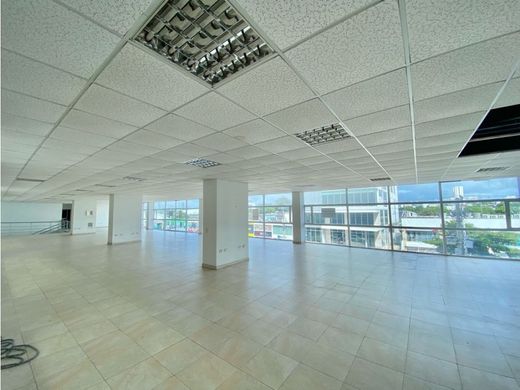 Ofis Cartagena, Cartagena de Indias