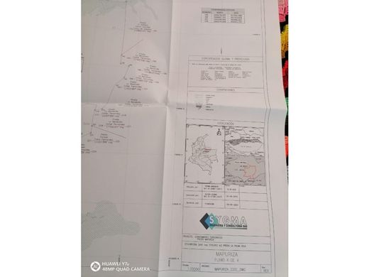 Rustico o casale a Municipio Hato Corozal, Hato Corozal