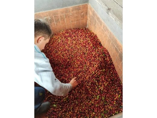 ‏בתים כפריים או חוות ב  Ebéjico, Departamento de Antioquia