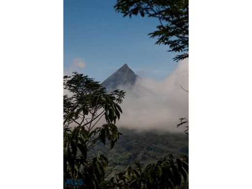 Land in Yolombó, Departamento de Antioquia