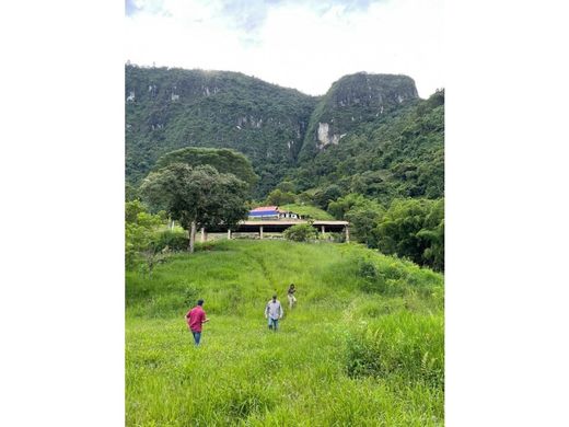 أرض ﻓﻲ Tarso, Departamento de Antioquia