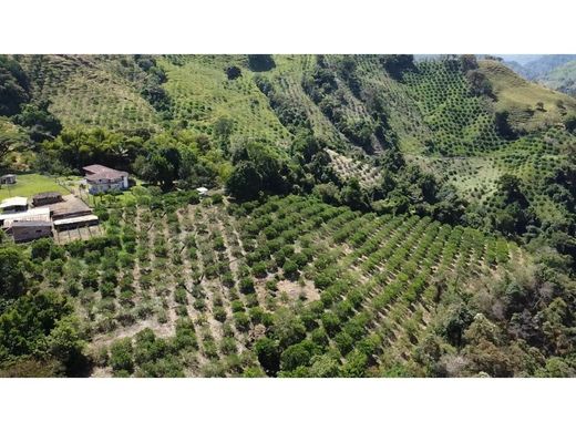 Cortijo o casa de campo en Tarso, Departamento de Antioquia