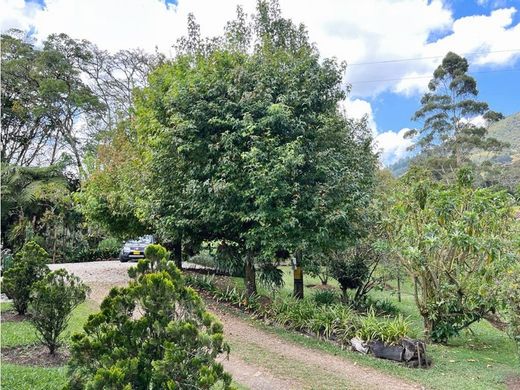 Gospodarstwo w La Ceja, Departamento de Antioquia