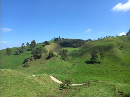 Rustico o casale a San Pedro, San Pedro de los Milagros