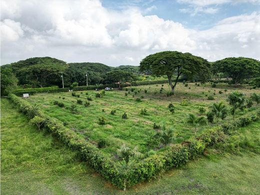 Terreno a Palmira, Departamento del Valle del Cauca