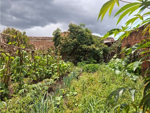 토지 / La Ceja, Departamento de Antioquia