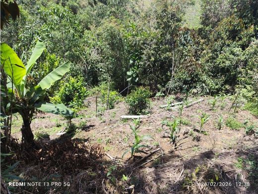 Cortijo o casa de campo en La Unión, Departamento de Antioquia