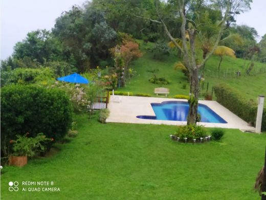 전원/농가 / Fredonia, Departamento de Antioquia