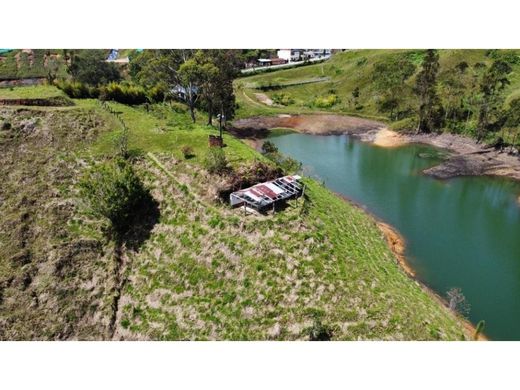 ‏קרקע ב  El Peñol, Yarumal