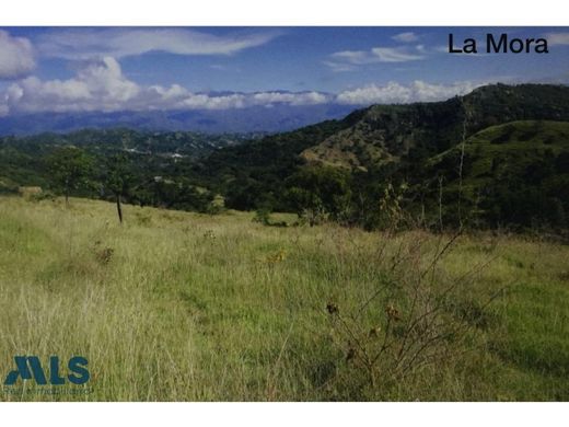 أرض ﻓﻲ San Jerónimo, Departamento de Antioquia