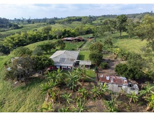 Rustik ya da çiftlik Armenia, Quindío Department