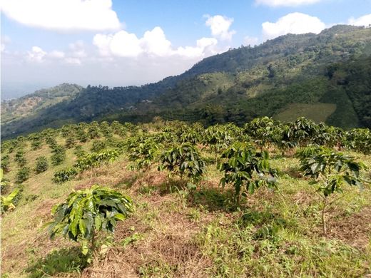 ‏בתים כפריים או חוות ב  Pijao, Quindío Department