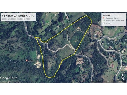 Αγροτεμάχιο σε Rionegro, Departamento de Antioquia