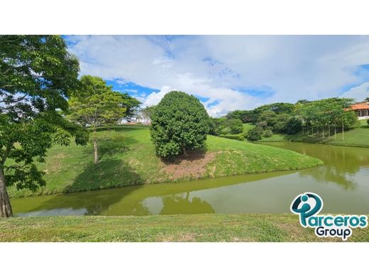 Terreno - Pereira, Departamento de Risaralda