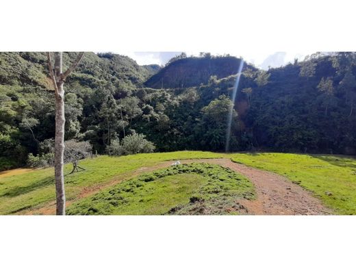 Farmhouse in Urrao, Departamento de Antioquia