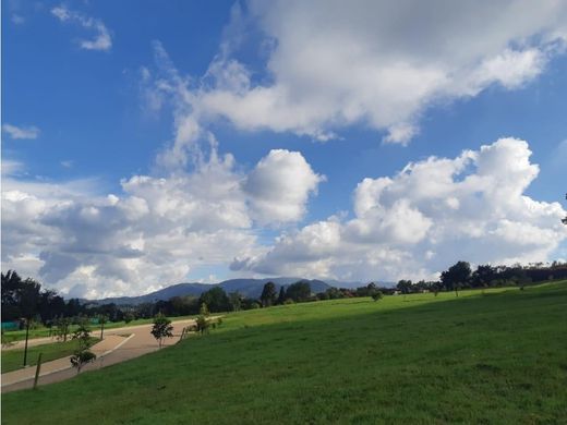 Teren w Medellín, Departamento de Antioquia