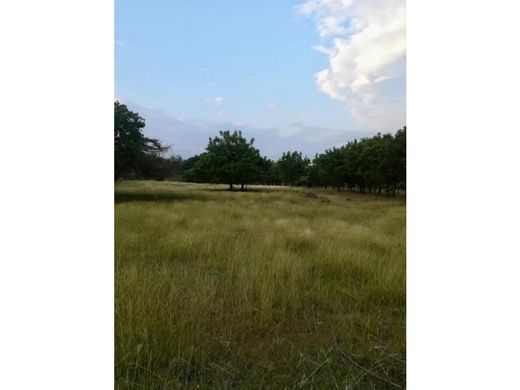 Land in Girardot City, Girardot