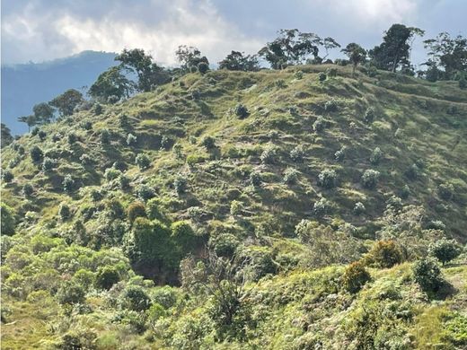 Quinta rústica - Granada, San Luis de Sincé