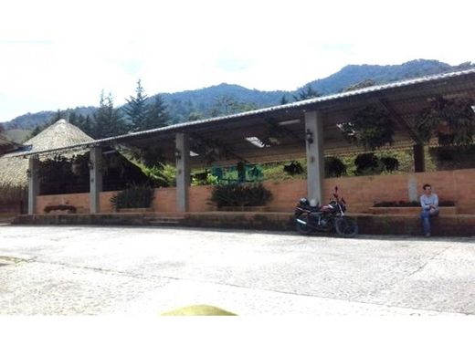 Boerderij in La Ceja, Departamento de Antioquia