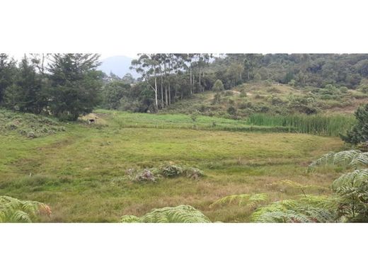 Terreno en Carmen de Viboral, El Carmen de Viboral