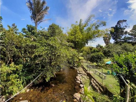 Hotel in Salento, Quindío Department