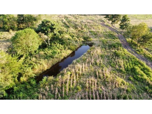 Grundstück in Montería, Departamento de Córdoba