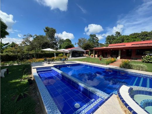 Propriété de campagne à La Tebaida, Quindío Department