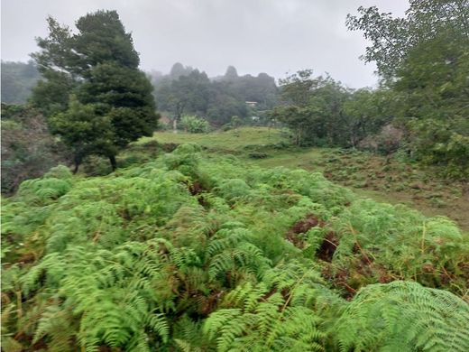 Terreno - Guarne, Departamento de Antioquia