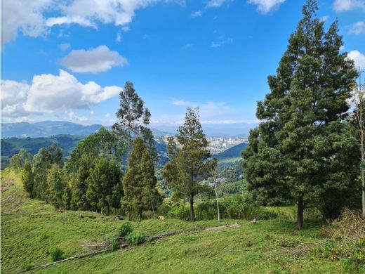 村舍/农舍  Manizales, Departamento de Caldas