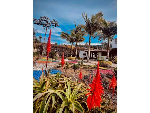 Hotel - Medellín, Departamento de Antioquia