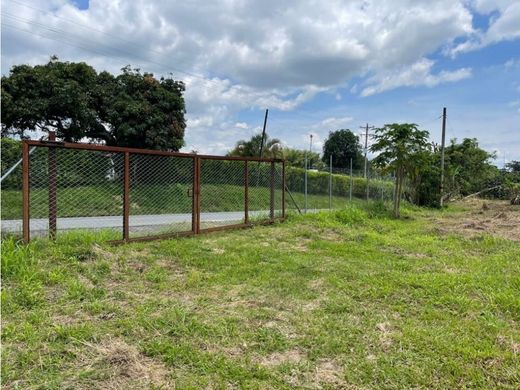 Arsa Armenia, Quindío Department