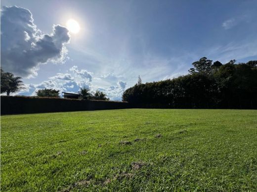 토지 / Rionegro, Departamento de Antioquia