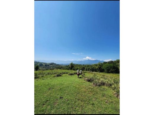 Terreno a La Pintada, Departamento de Antioquia