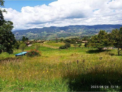 Farmhouse in Madrid, Cundinamarca