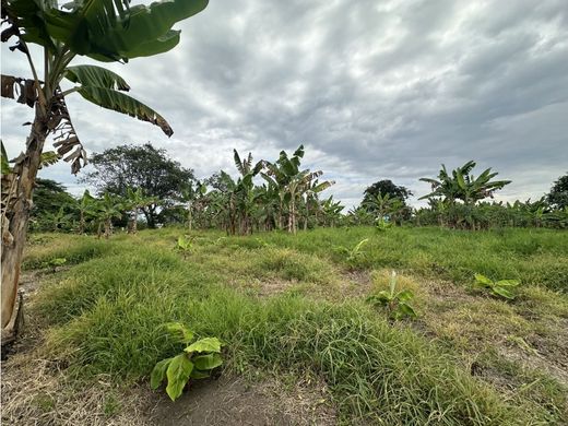 Land in Armenia, Quindío Department